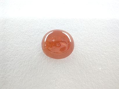 GRENAT orange spessartite Namibia cabochon

Size...