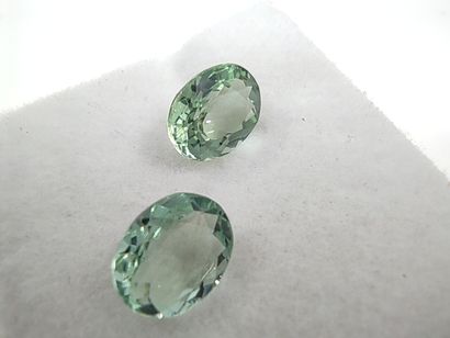 DEUX TOURMALINE green Mozambique ovale 

Dim...