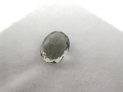 TOURMALINE green VS Mozambique ovale

Dim...