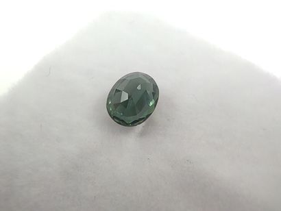 SAPHIR bluish green VVS Australie ovale

Dim...