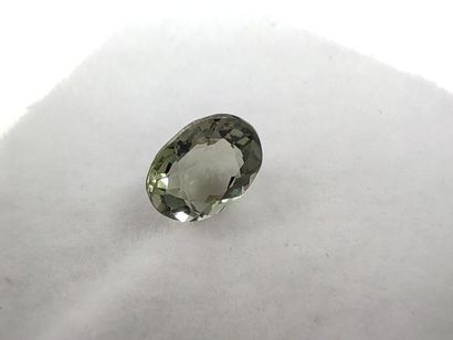TOURMALINE green VS Mozambique ovale

Dim...