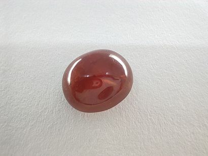 GRENAT orange spessartite Namibia cabochon...