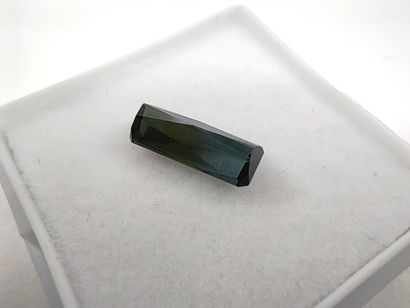 TOURMALINE green et bluish green VVS Mozambique...