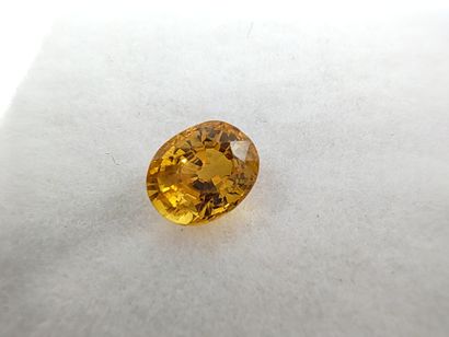SAPHIR yellow VS Australia oval

Size : 5,2mm...