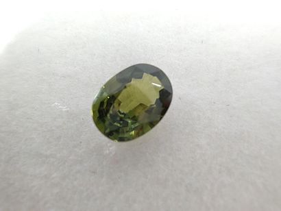 SAPHIR green VVS Australie ovale

Dim : 5,8mm...