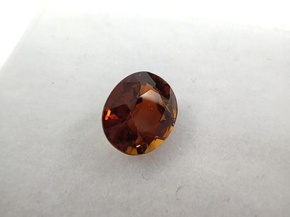 TOURMALINE orange Nigeria ovale

Dim : 6,6mm...