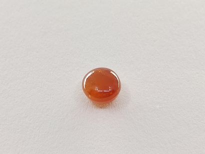 GRENAT orange spessartite Namibia cabochon

Size...