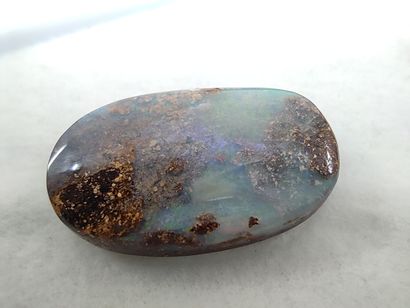 OPALE koriot nut boulder du Queensland Australie...