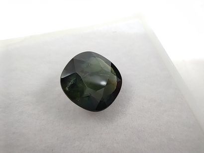 SAPHIR green Australia cushion

Size: 7,8mm...