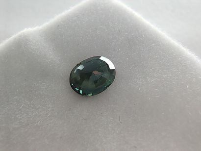 SAPHIR greenish blue Australie ovale

Dim...