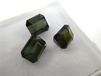 THREE Mozambique green emerald TOURMALINE,...