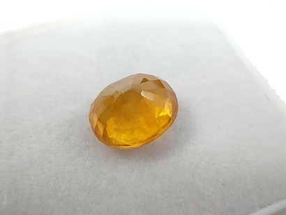 SAPHIR yellow Thailand oval

Size : 8mm x...