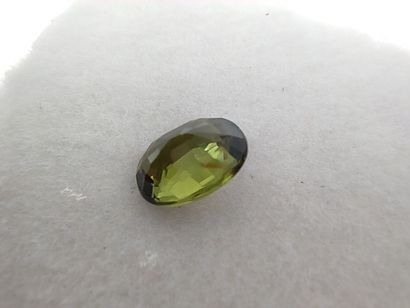 SAPHIR green VVS Australie ovale

Dim : 5,8mm...