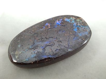 OPALE koriot nut boulder du Queensland Australie...