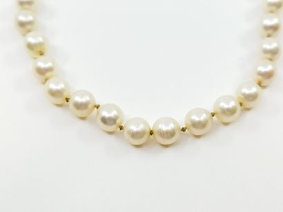 
COLLIER DE 56 PERLES de culture, fermoir...