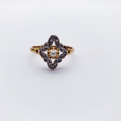 
Travail Français



BAGUE en or deux tons...