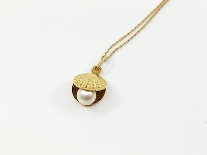 750° yellow gold CHAIN with a pendant adorned...