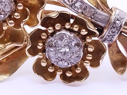 
BROCHE 