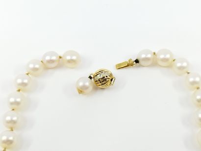 
COLLIER DE 56 PERLES de culture, fermoir...