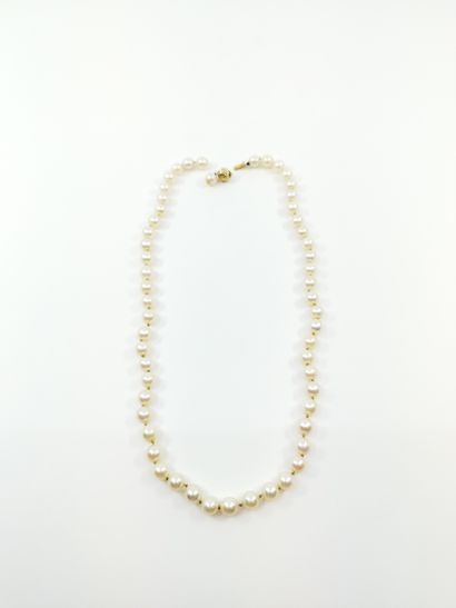 
COLLIER DE 56 PERLES de culture, fermoir...
