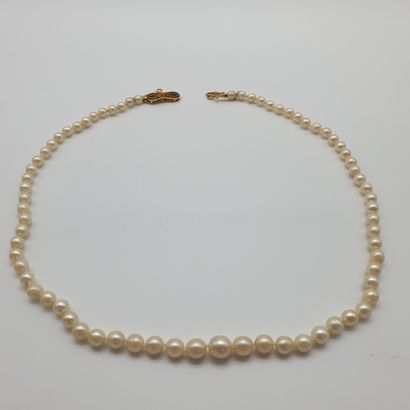 
COLLIER de 72 perles en chute, fermoir émaillé...