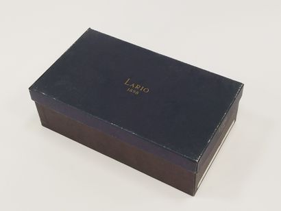 
LARIO




Pair of black leather ballerinas...