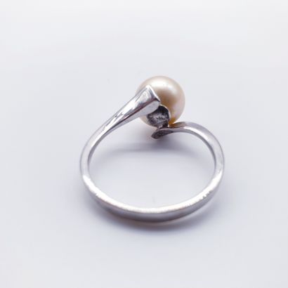
Travail Français



BAGUE en or gris 750°,...