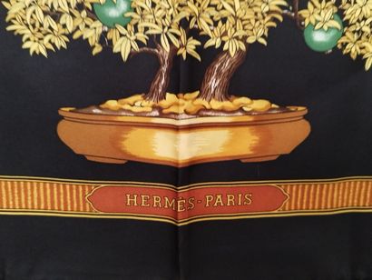 HERMES

