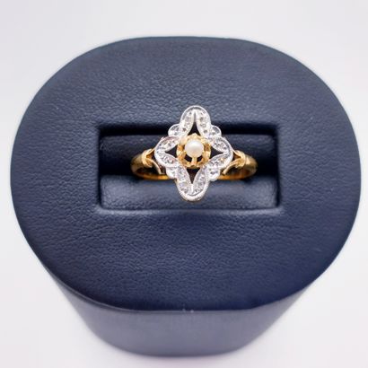 
Travail Français



BAGUE en or deux tons...