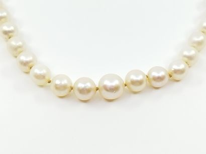COLLIER sautoir composé de 73 perles de culture...