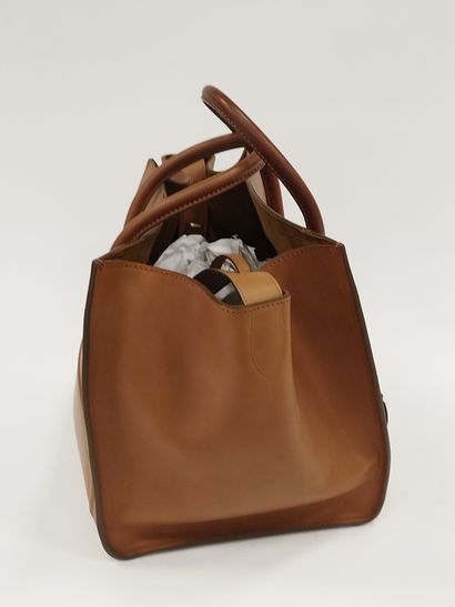 
CELINE 




Medium Luggage Phantom




Couleur...