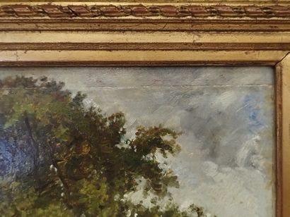 Paul HUET (1803-1869)

Landscape

Oil on...