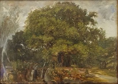 Paul HUET (1803-1869)

Landscape

Oil on...
