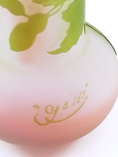 Emile GALLE (1846-1904)

Petit vase en verre...