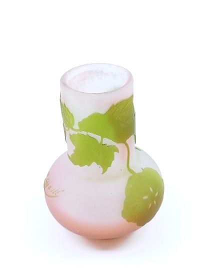 Emile GALLE (1846-1904)

Petit vase en verre...