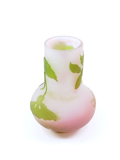 Emile GALLE (1846-1904)

Petit vase en verre...