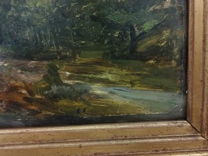 Paul HUET (1803-1869)

Landscape

Oil on...