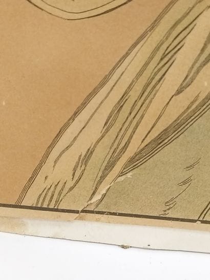 ALPHONSE MUCHA (1860-1939)

Dame à la fleur

Estampe...
