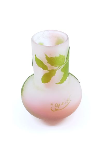 Emile GALLE (1846-1904)

Petit vase en verre...