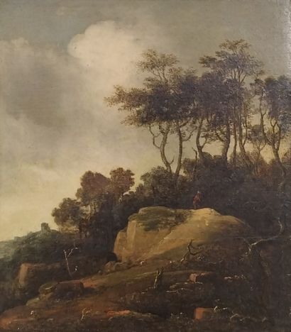 Adriaen BLOMAERT (1609-1666)

Peasant on...