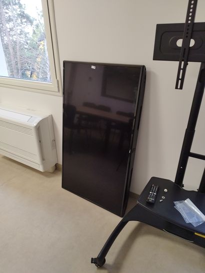 Ecran plat LG et support