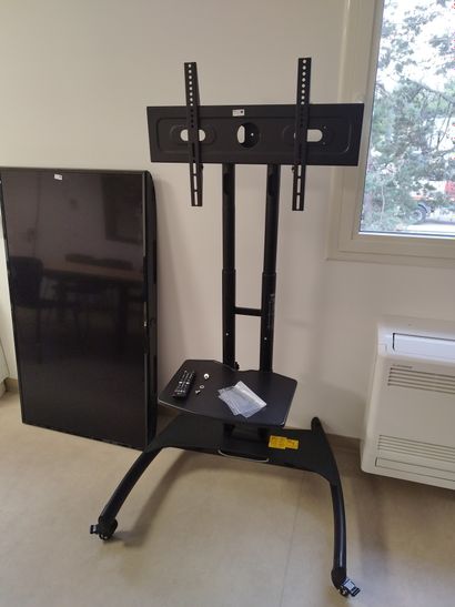 Ecran plat LG et support