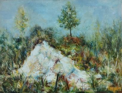 SEMPERE Flavien (1936-2022) 
La carriere...