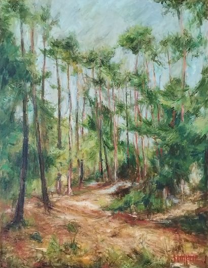 SEMPERE Flavien (1936-2022) 
Les pins à Barbizon
Huile...