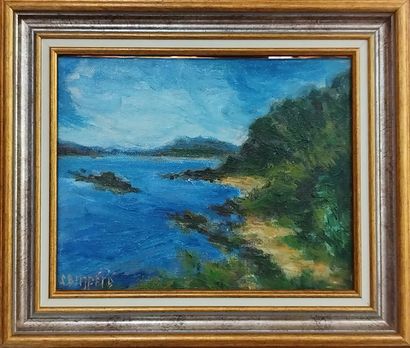 SEMPERE Flavien (1936-2022) 
Les calanques
Huile...