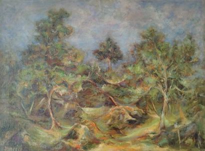 SEMPERE Flavien (1936-2022) 
Les gorges d'apremont
Huile...