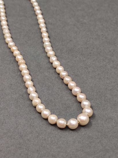 COLLIER de perles, fermoir en métal