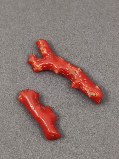 LOT comprenant : 
Deux morceaux de Corail...