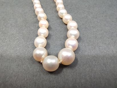 COLLIER de perles de culture, fermoir en...
