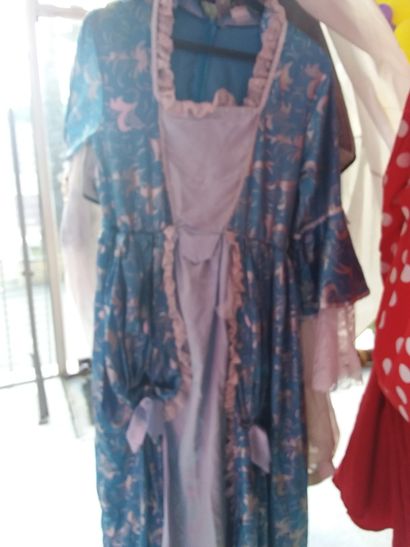portant contenant 17 costumes adultes 
princesse
costume...